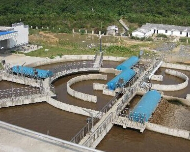 除磷剂投在哪效果好