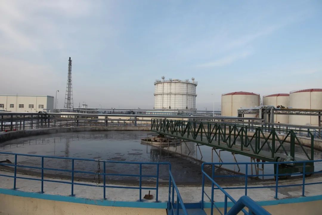 解决方案 ✦ 托管运营 ✦ 项目介绍