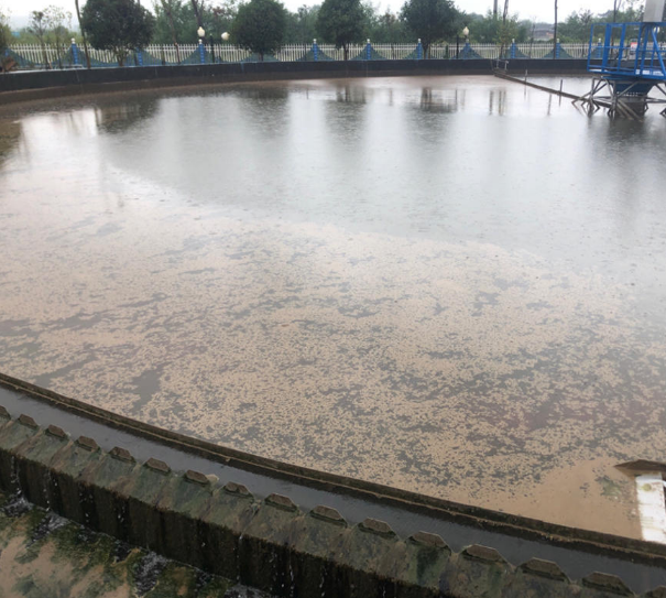 受高浓度工业废水冲击,生活污水厂瘫痪、受罚怎么办