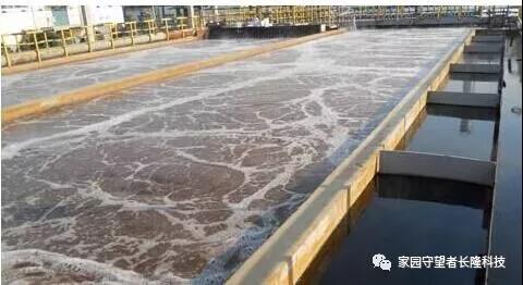 水量突增，出水总磷超标怎么办