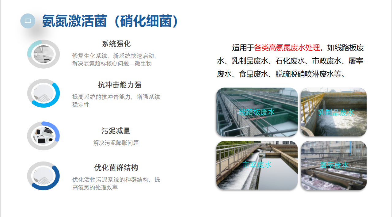 微生物脱氮除磷-氨氮